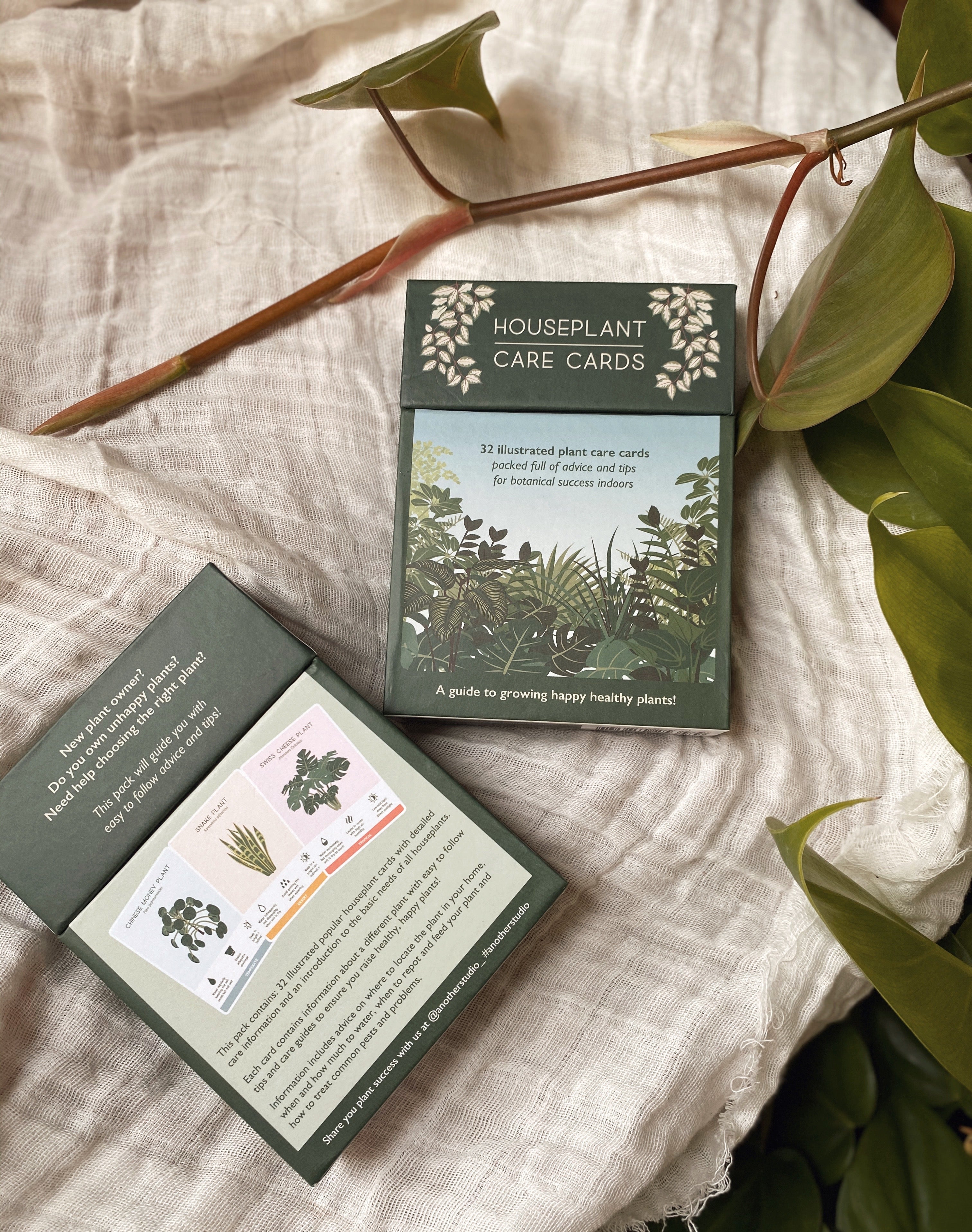 succulent studios care cards Houseplant Care Cards – Revival Haus