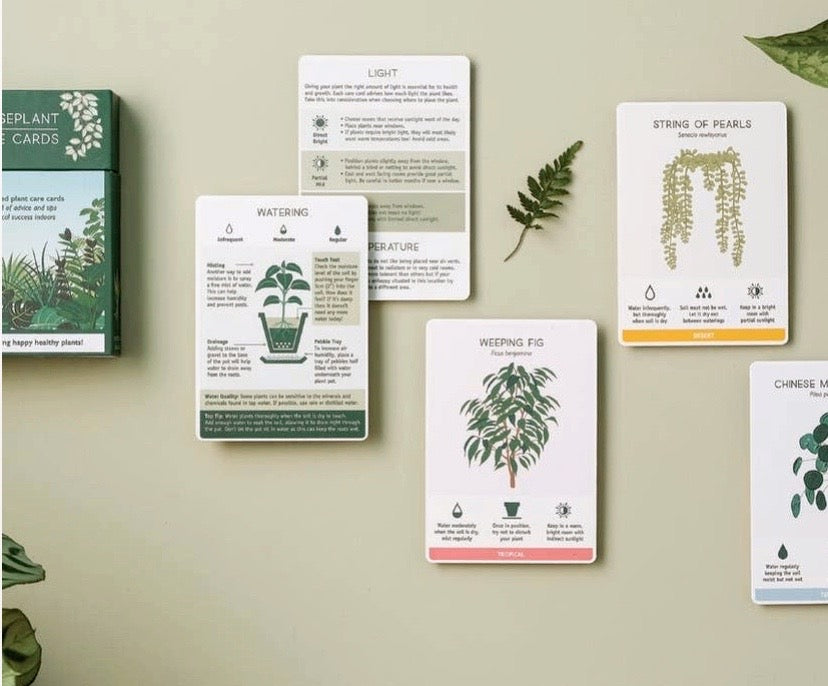 Houseplant Care Cards – Revival Haus for Free Printable Plant Care Cards