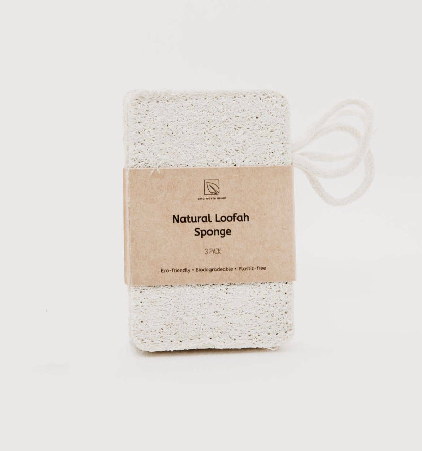 Loofah Sponge Single Layer 3-Pack – usefull
