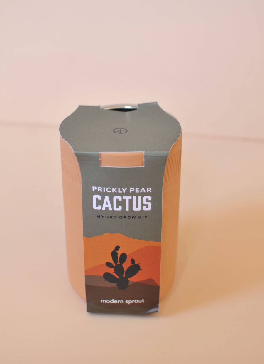 Terracotta Cactus  Kit