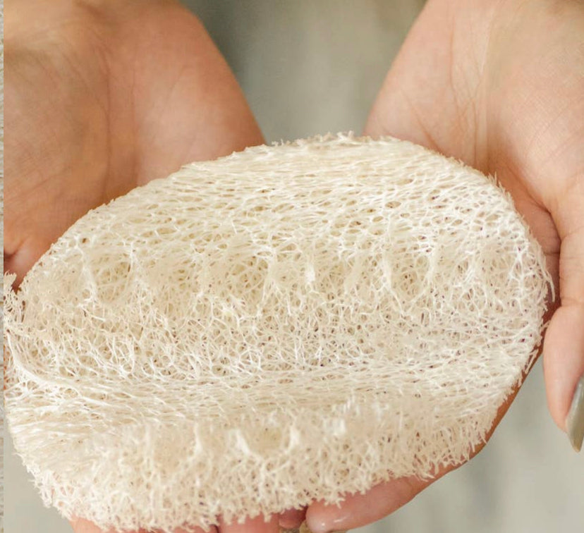 Vegan Dish Washing Eco-Sponge